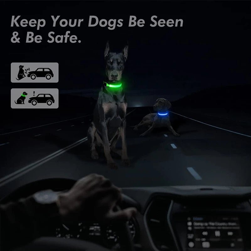 USB Rechargeable LED Dog Collar for Night Safety - pet-joyful store