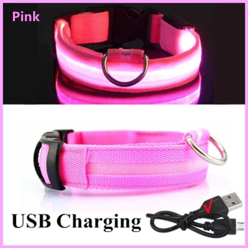 USB Rechargeable LED Dog Collar for Night Safety - pet-joyful store