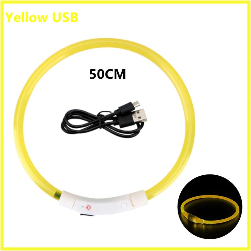 USB Rechargeable LED Dog Collar for Night Safety - pet-joyful store