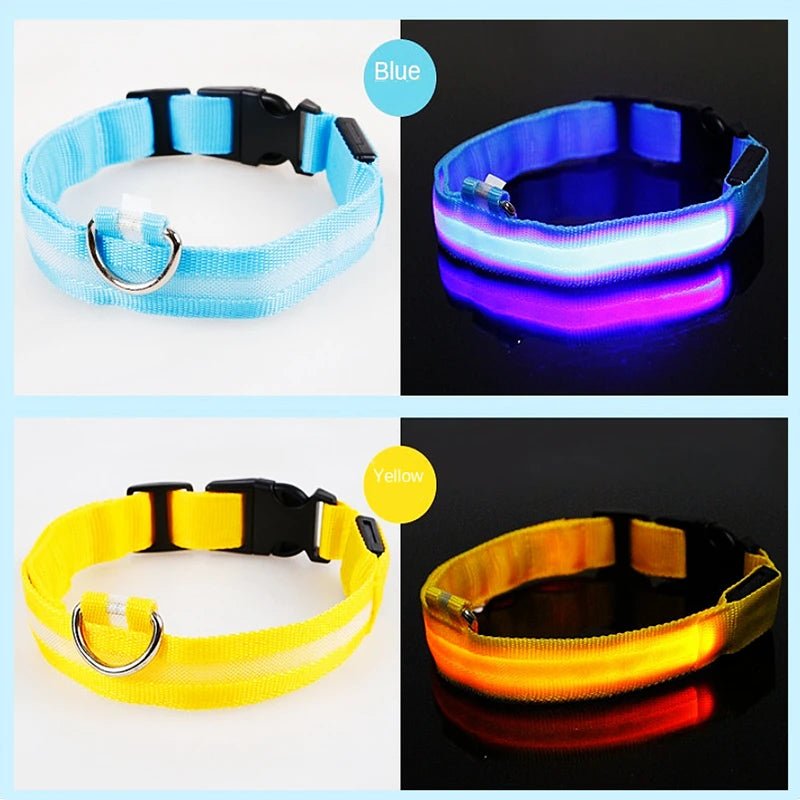 USB Rechargeable LED Dog Collar for Night Safety - pet-joyful store