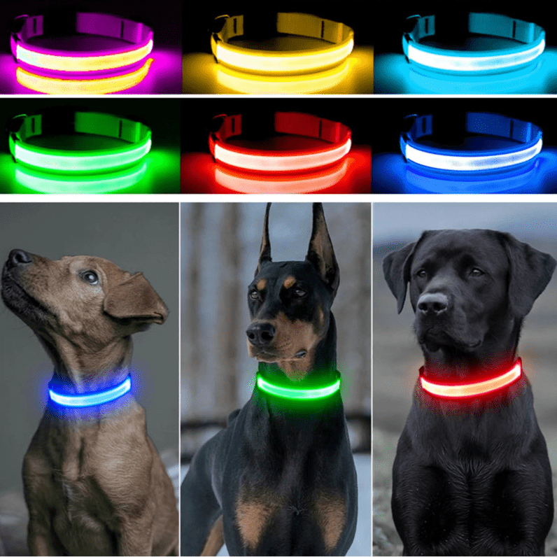 USB Rechargeable LED Dog Collar for Night Safety - pet-joyful store