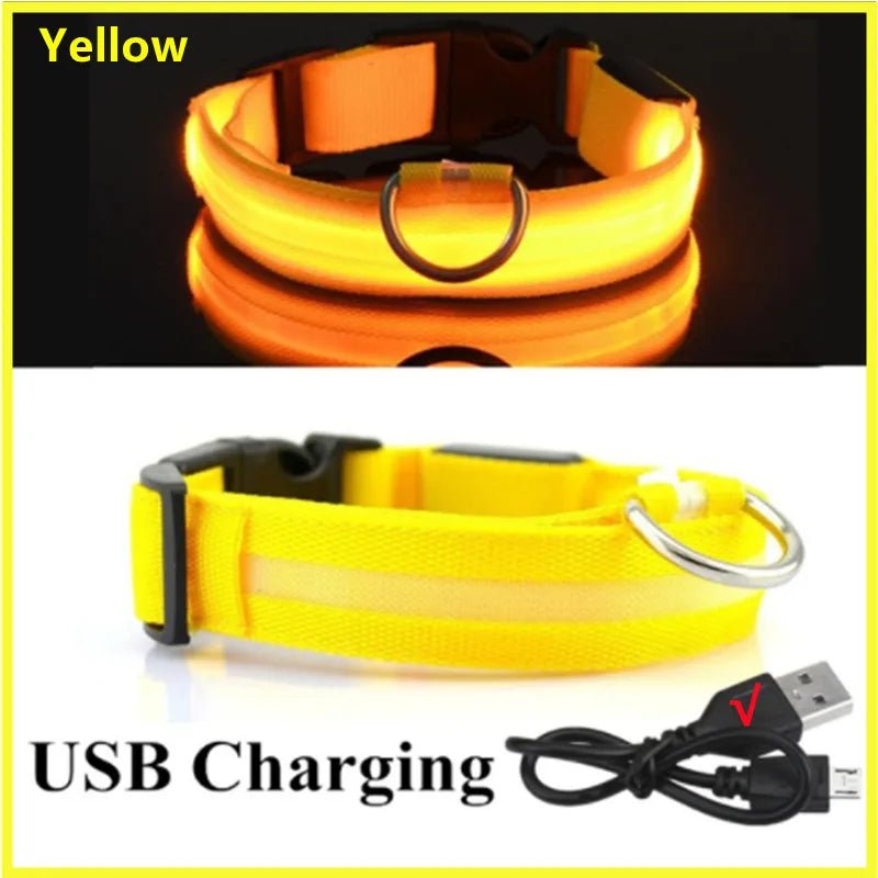 USB Rechargeable LED Dog Collar for Night Safety - pet-joyful store