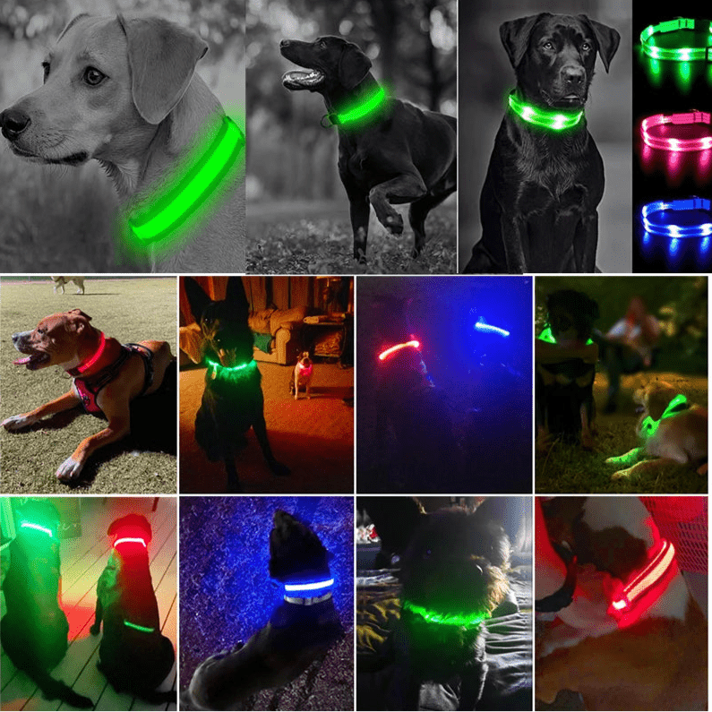 USB Rechargeable LED Dog Collar for Night Safety - pet-joyful store