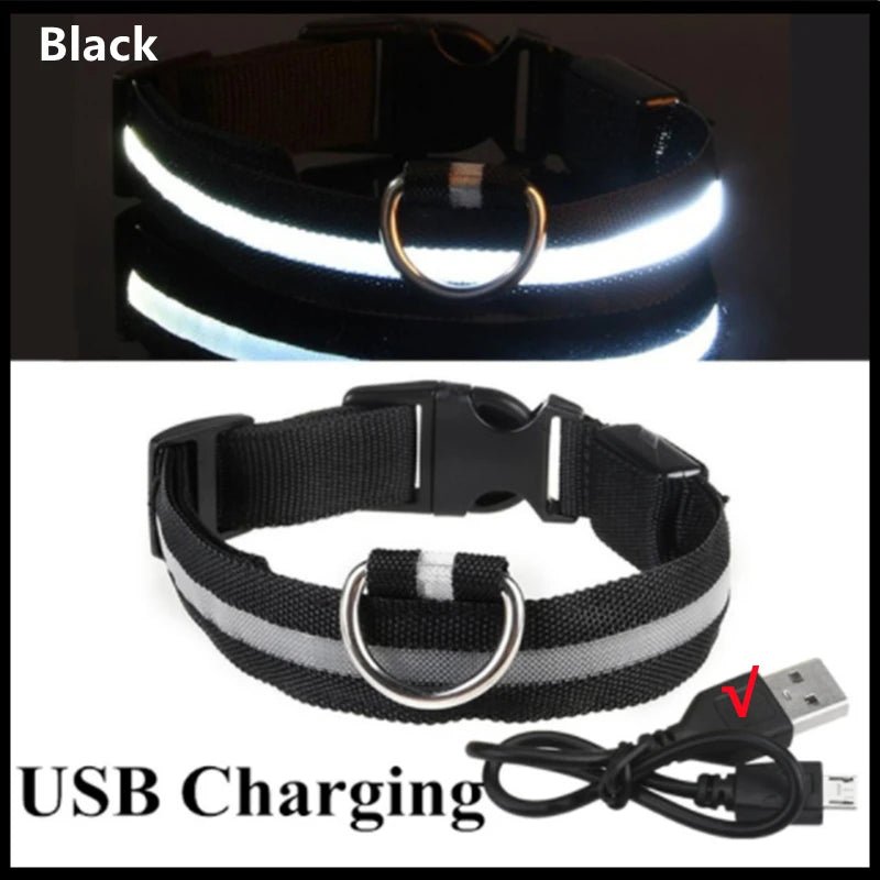 USB Rechargeable LED Dog Collar for Night Safety - pet-joyful store