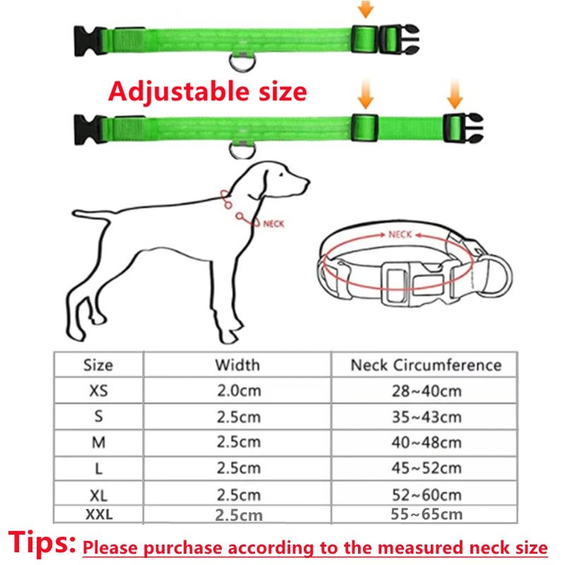 USB Rechargeable LED Dog Collar for Night Safety - pet-joyful store