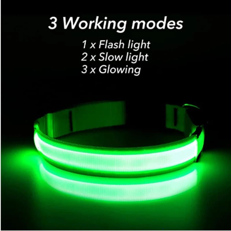 USB Rechargeable LED Dog Collar for Night Safety - pet-joyful store