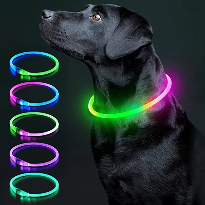 USB Rechargeable LED Dog Collar for Night Safety - pet-joyful store