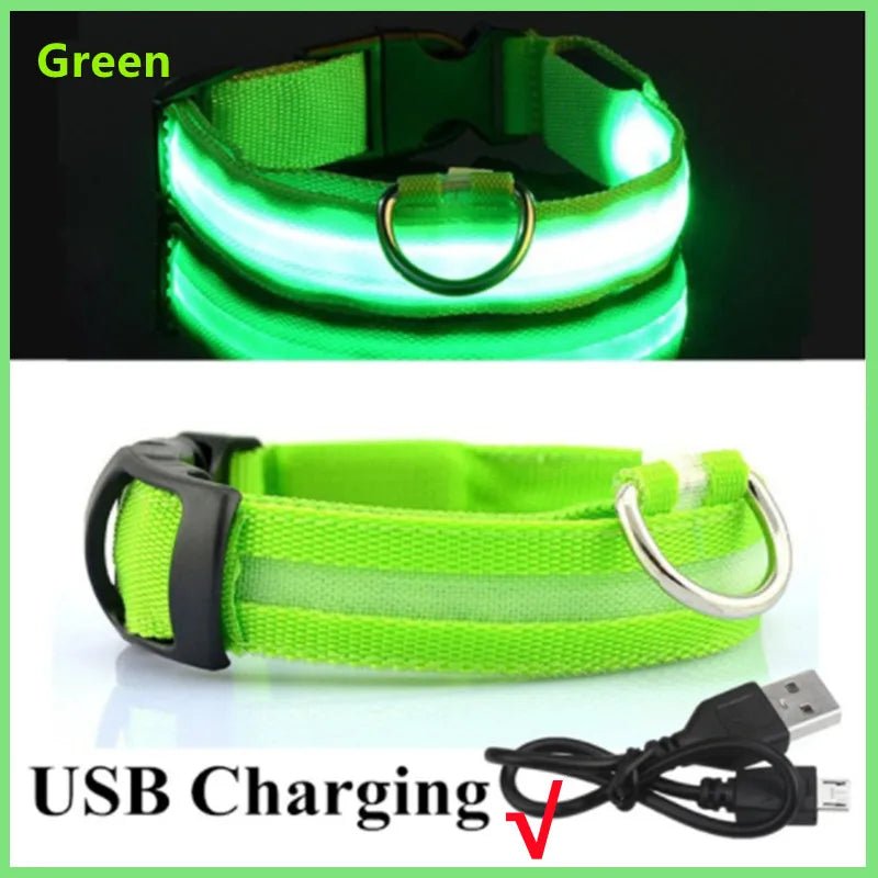 USB Rechargeable LED Dog Collar for Night Safety - pet-joyful store