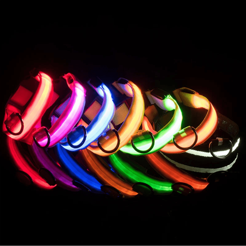 USB Rechargeable LED Dog Collar for Night Safety - pet-joyful store