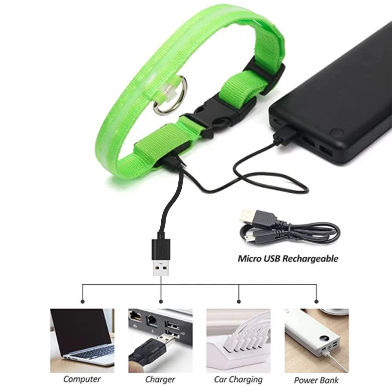 USB Rechargeable LED Dog Collar for Night Safety - pet-joyful store