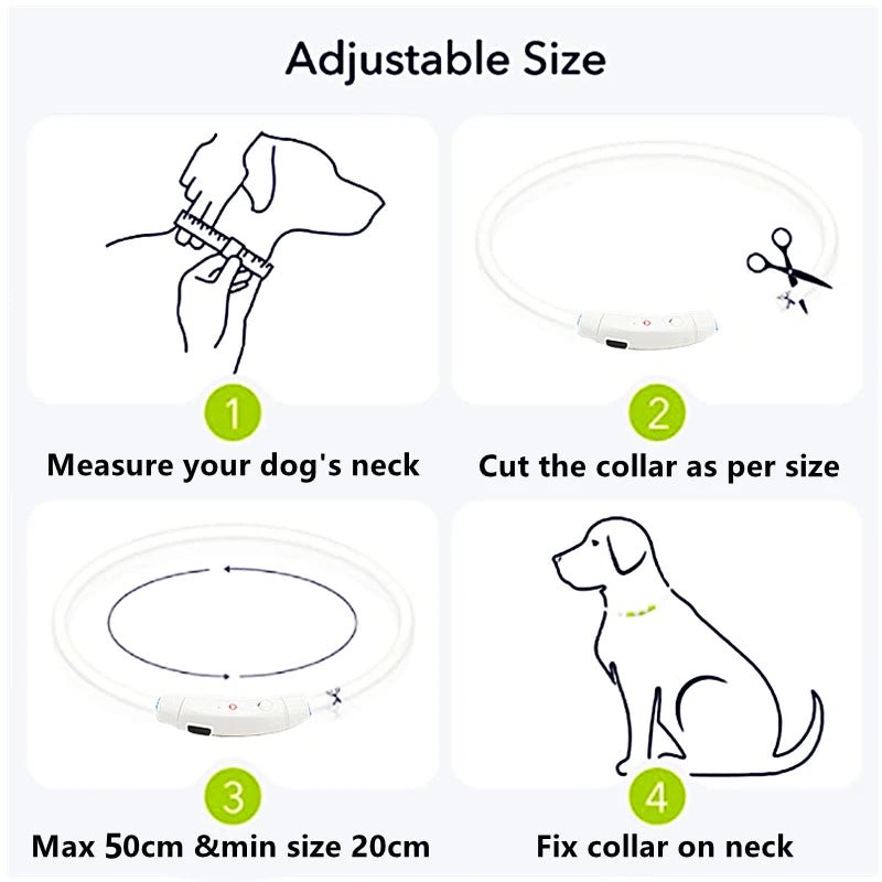 USB Rechargeable LED Dog Collar for Night Safety - pet-joyful store