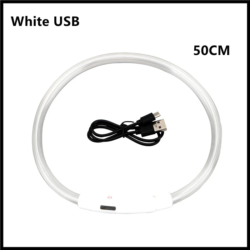 USB Rechargeable LED Dog Collar for Night Safety - pet-joyful store