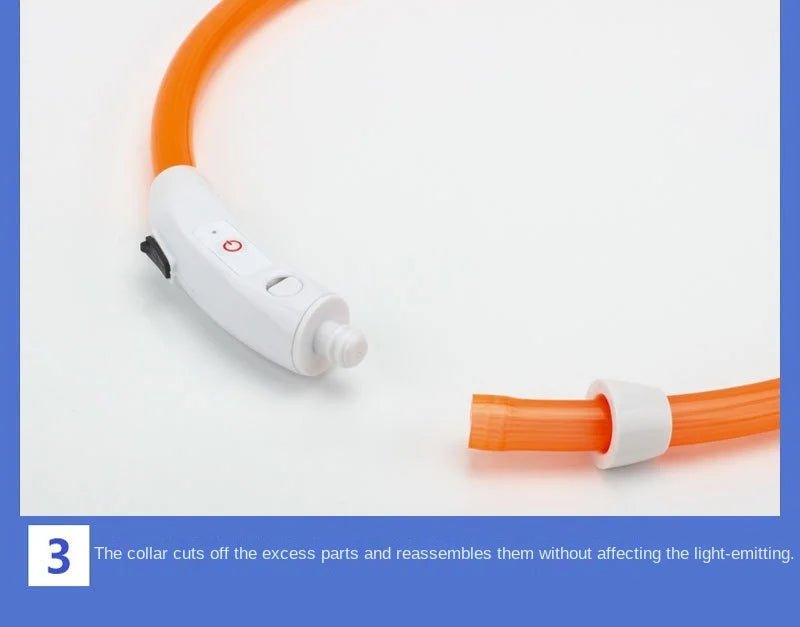 USB Rechargeable LED Dog Collar for Night Safety - pet-joyful store