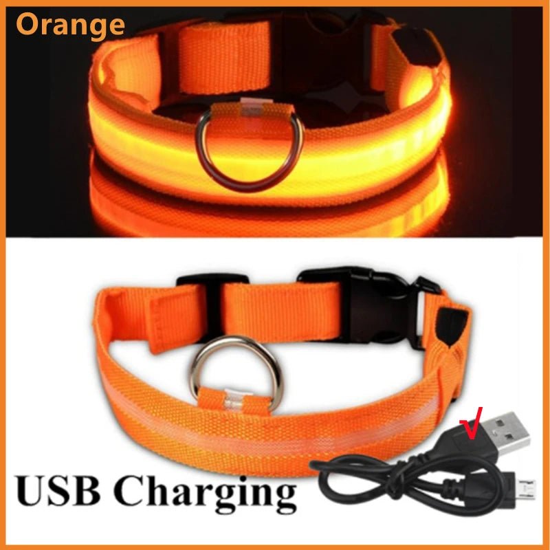 USB Rechargeable LED Dog Collar for Night Safety - pet-joyful store