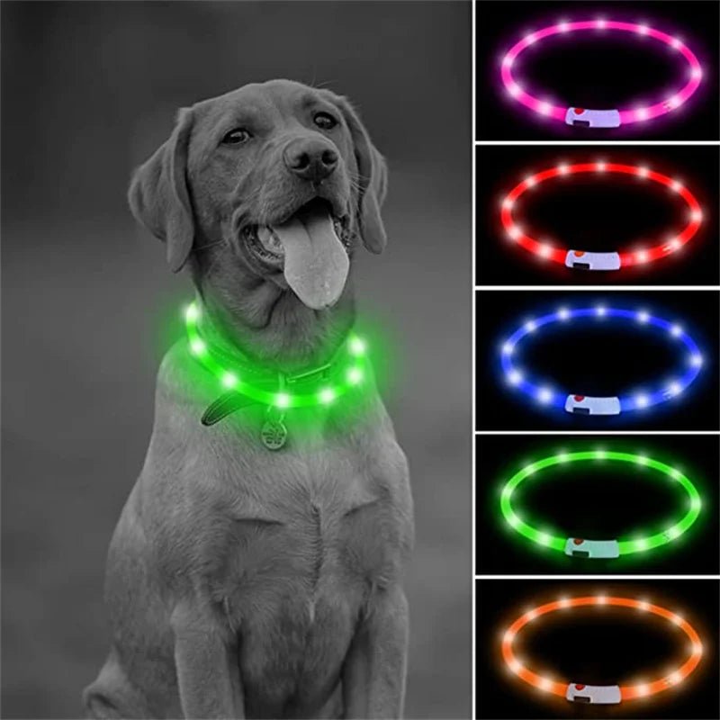 USB Rechargeable LED Dog Collar for Night Safety - pet-joyful store