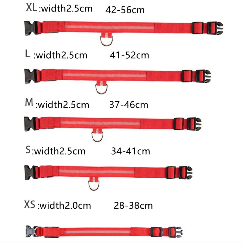USB Rechargeable LED Dog Collar for Night Safety - pet-joyful store