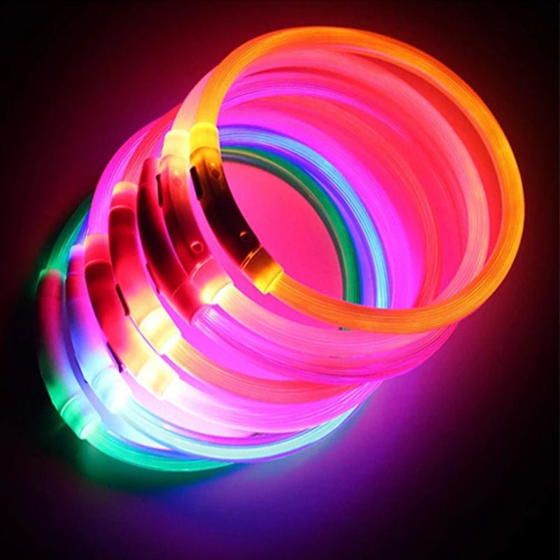 USB Rechargeable LED Dog Collar for Night Safety - pet-joyful store