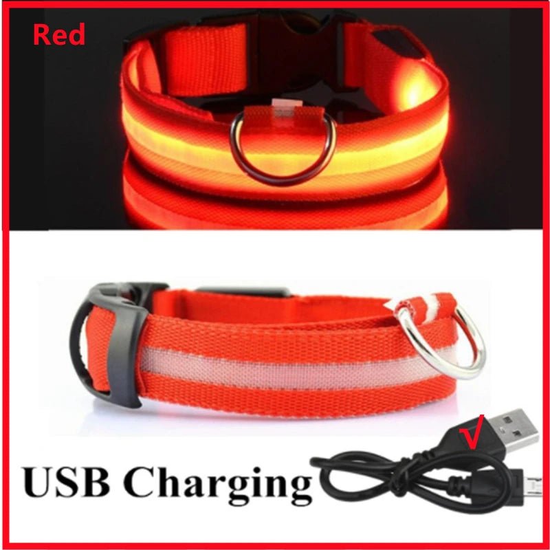 USB Rechargeable LED Dog Collar for Night Safety - pet-joyful store