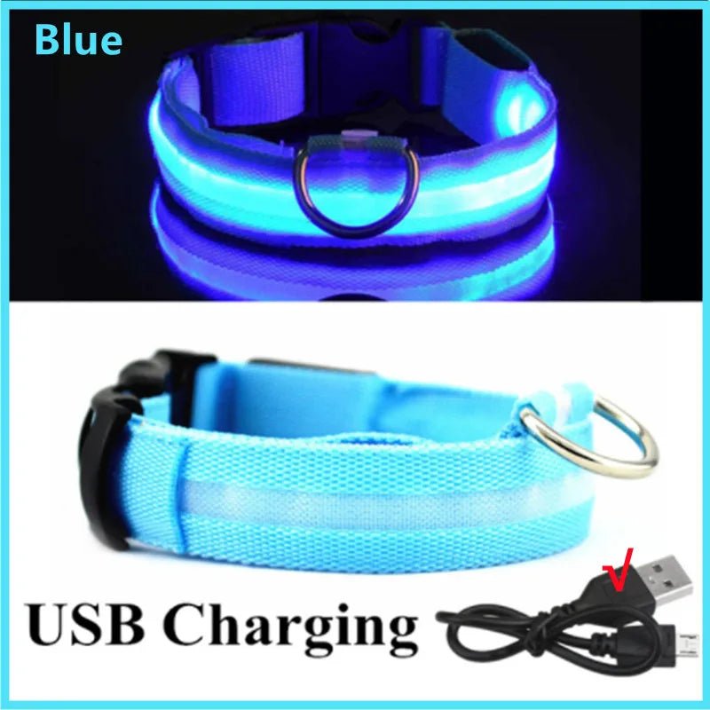 USB Rechargeable LED Dog Collar for Night Safety - pet-joyful store