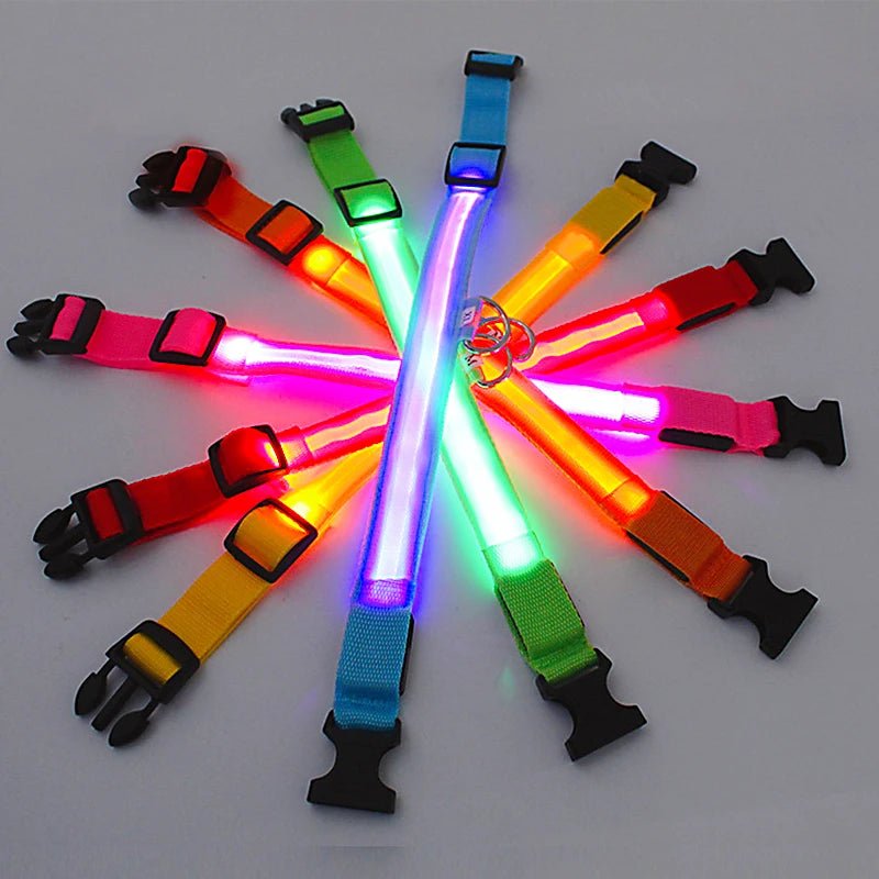 USB Rechargeable LED Dog Collar for Night Safety - pet-joyful store