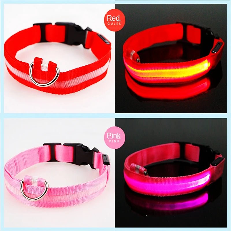 USB Rechargeable LED Dog Collar for Night Safety - pet-joyful store