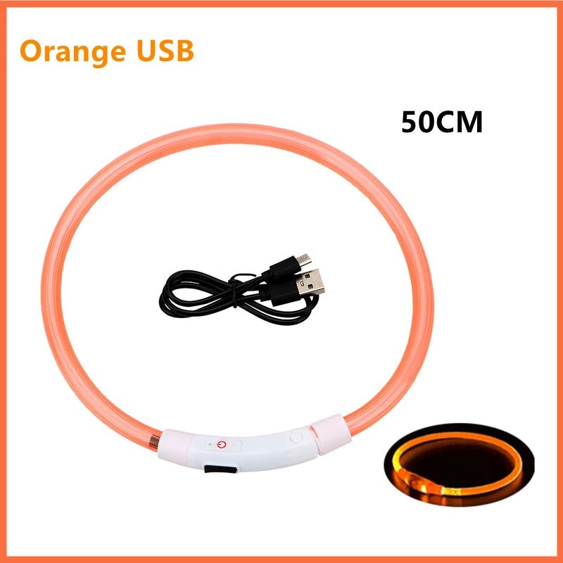 USB Rechargeable LED Dog Collar for Night Safety - pet-joyful store