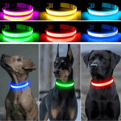 USB Rechargeable LED Dog Collar for Night Safety - pet-joyful store