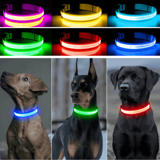 USB Rechargeable LED Dog Collar for Night Safety - pet-joyful store