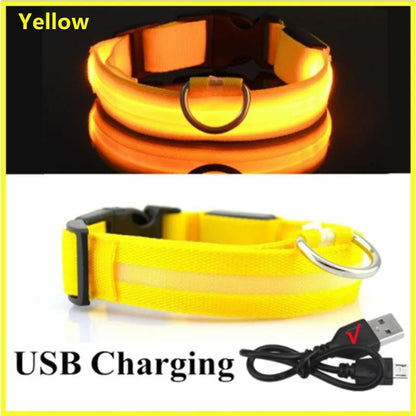 USB Rechargeable LED Dog Collar for Night Safety - pet-joyful store