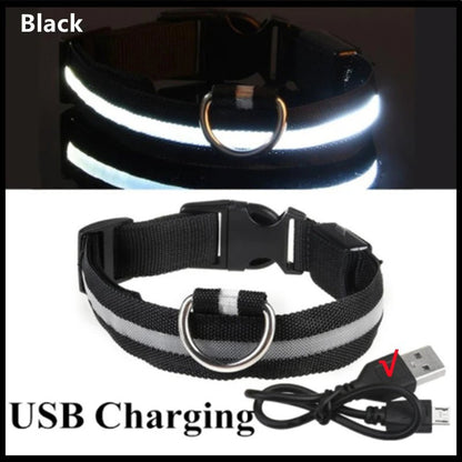 USB Rechargeable LED Dog Collar for Night Safety - pet-joyful store