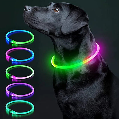 USB Rechargeable LED Dog Collar for Night Safety - pet-joyful store