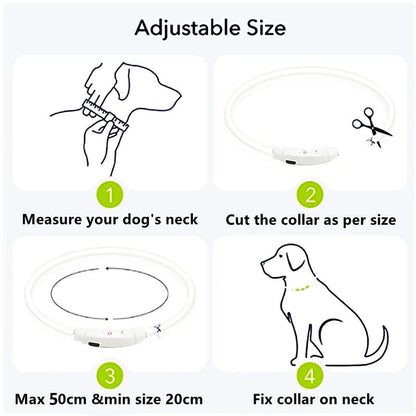 USB Rechargeable LED Dog Collar for Night Safety - pet-joyful store