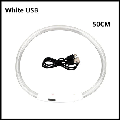 USB Rechargeable LED Dog Collar for Night Safety - pet-joyful store