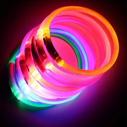 USB Rechargeable LED Dog Collar for Night Safety - pet-joyful store