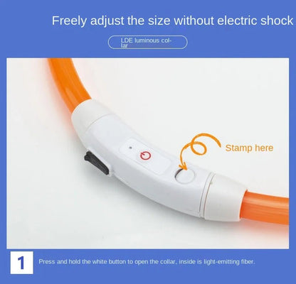 USB Rechargeable LED Dog Collar for Night Safety - pet-joyful store